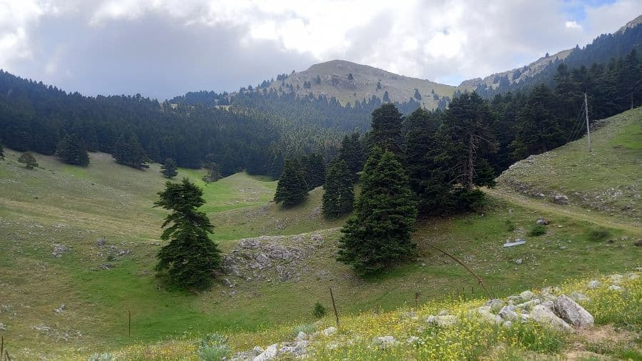 ΑΝΑΒΑΣΗ ΣΤΟ ΣΑΪΤΑ 1.812 m